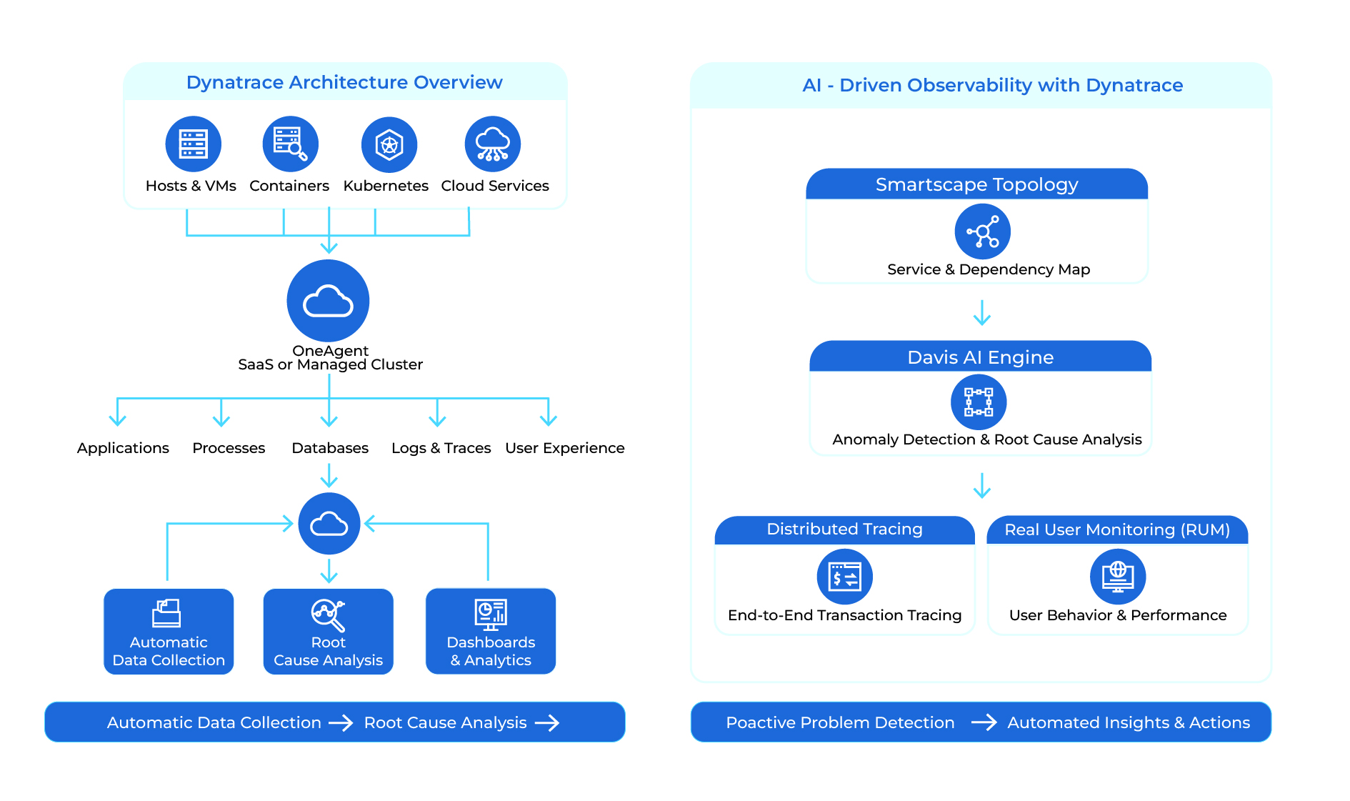 Dynatrace Architecture Overview | Miraclesoft